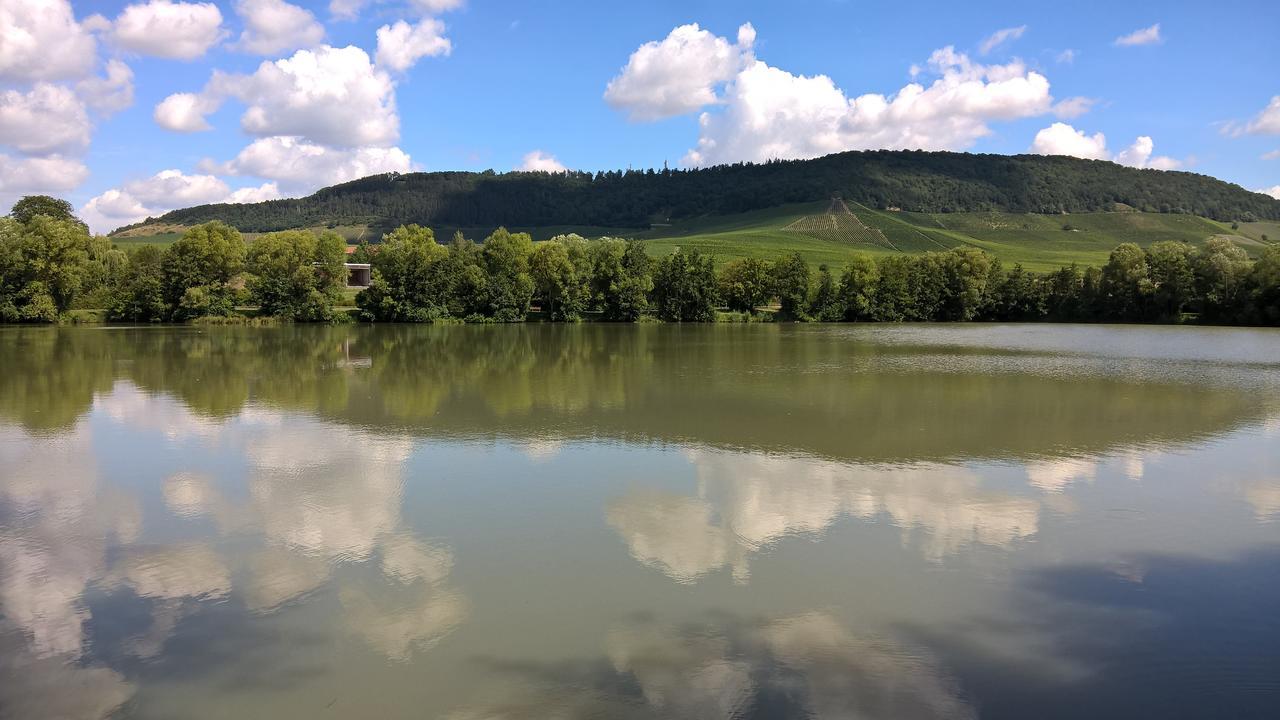 Das Kleine Hotel Iphofen, Fruehstueckszauber, No Waste, Nachhaltig, Nahe Aller Weingueter, Knauf Gips Kg Und Connekt, Kleines Secret Mit Garten & Terrassen, Tv Mirrorring, 55" Tv, Fine Dining, Hunde Willkommen 외부 사진