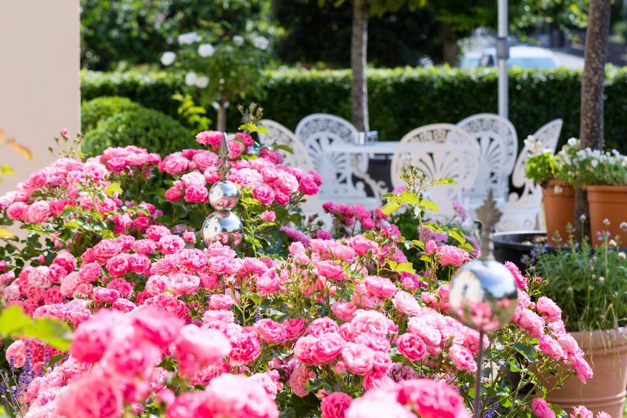 Das Kleine Hotel Iphofen, Fruehstueckszauber, No Waste, Nachhaltig, Nahe Aller Weingueter, Knauf Gips Kg Und Connekt, Kleines Secret Mit Garten & Terrassen, Tv Mirrorring, 55" Tv, Fine Dining, Hunde Willkommen 외부 사진
